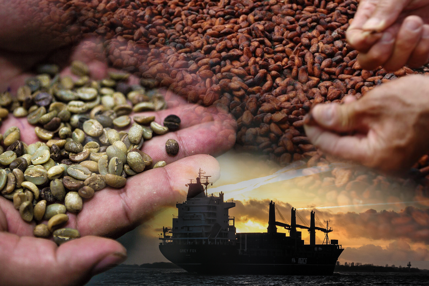 export (1).jpg